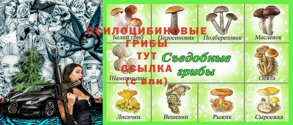 гидропоника Бронницы