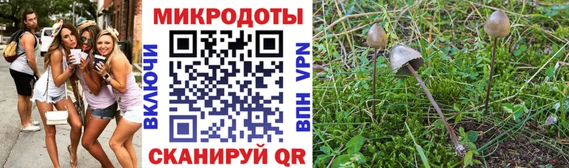 Псилоцибиновые грибы Psilocybe ОМГ ОМГ зеркало Знаменск